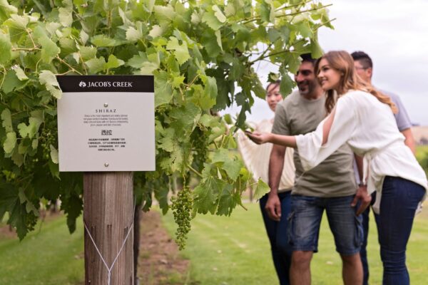 155848-69-scaled-600x400